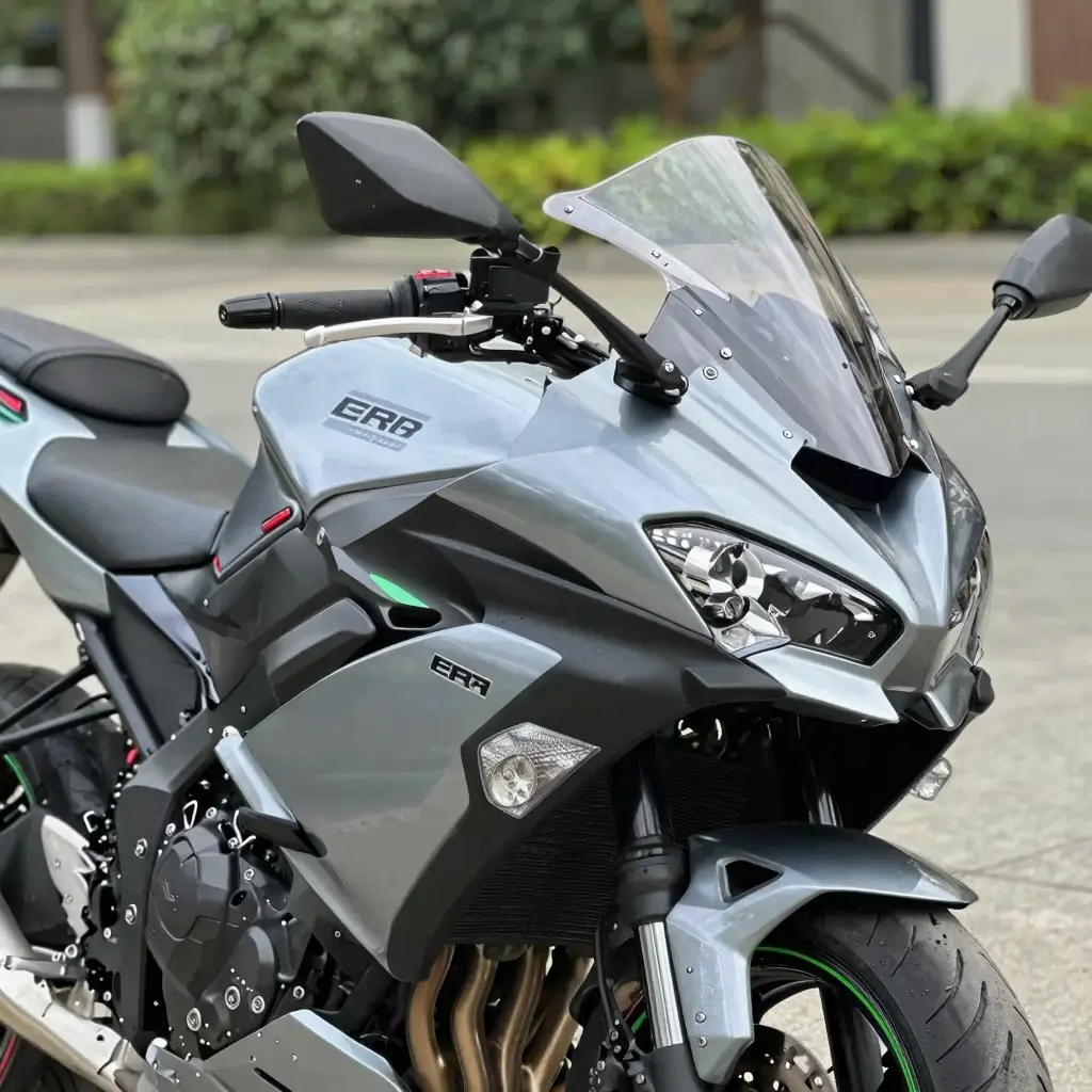Custom Fairing for Kawasaki ER6