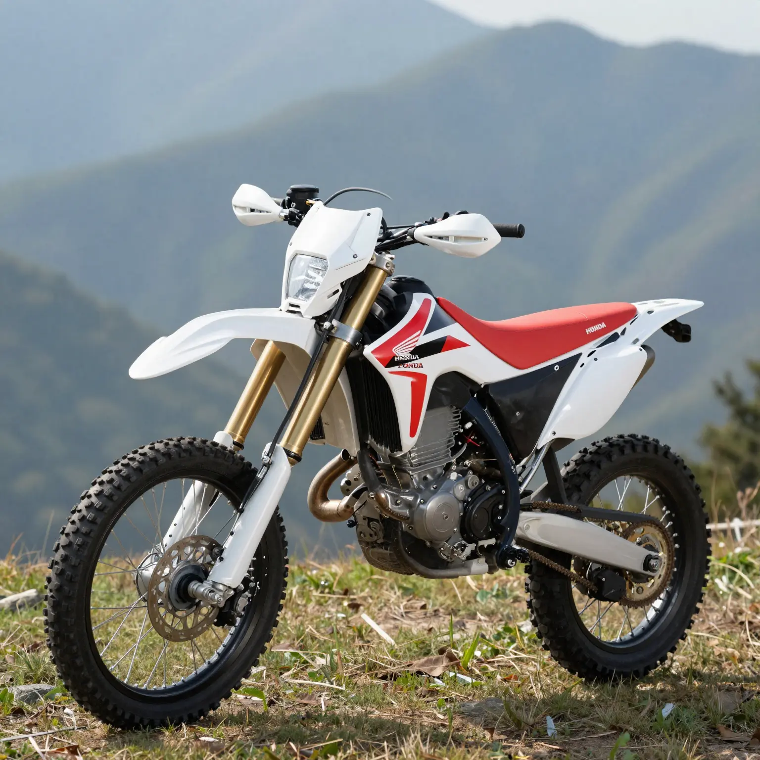 Honda XR 650 in Action